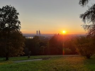 Meditation Basel Friedhof am Hörnli mit Meister