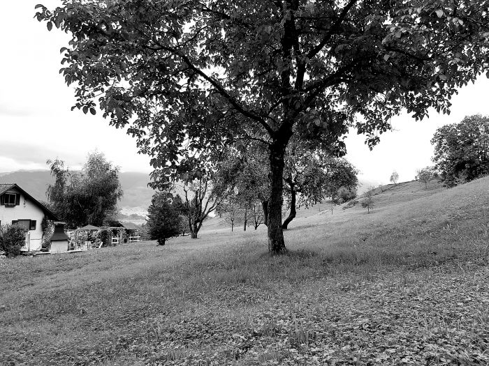 Kloster Nigredo ein Ort für Meditation, Retreat und Auszeit