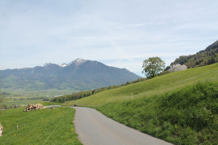 Aussicht vom Kloster Nigredo - Meditationszentrum in Reichenburg in der Schweiz zum Federispitz