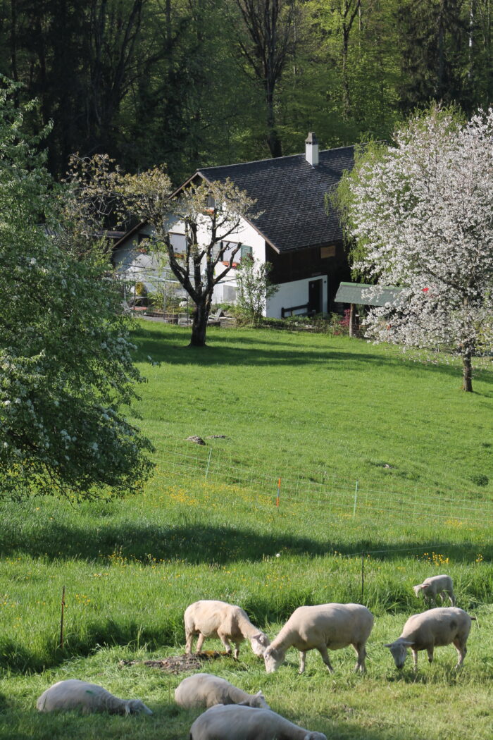 Kloster Nigredo - Meditationszentrum in Reichenburg in der Schweiz
