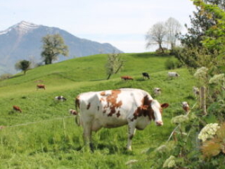 Kloster Nigredo - Meditationszentrum in Reichenburg in der Schweiz