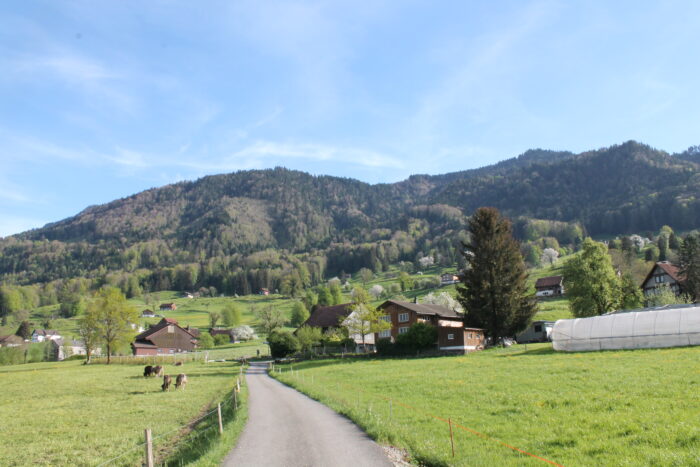 Kloster Nigredo - Meditationszentrum in Reichenburg in der Schweiz