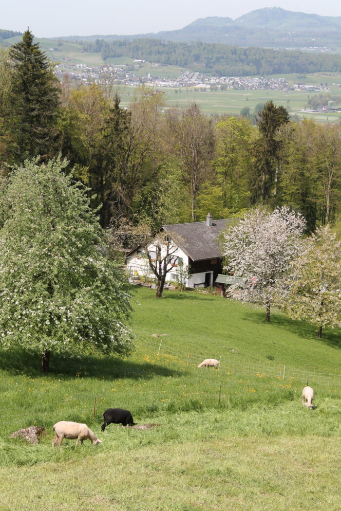 Kloster Nigredo - Meditationszentrum in Reichenburg in der Schweiz