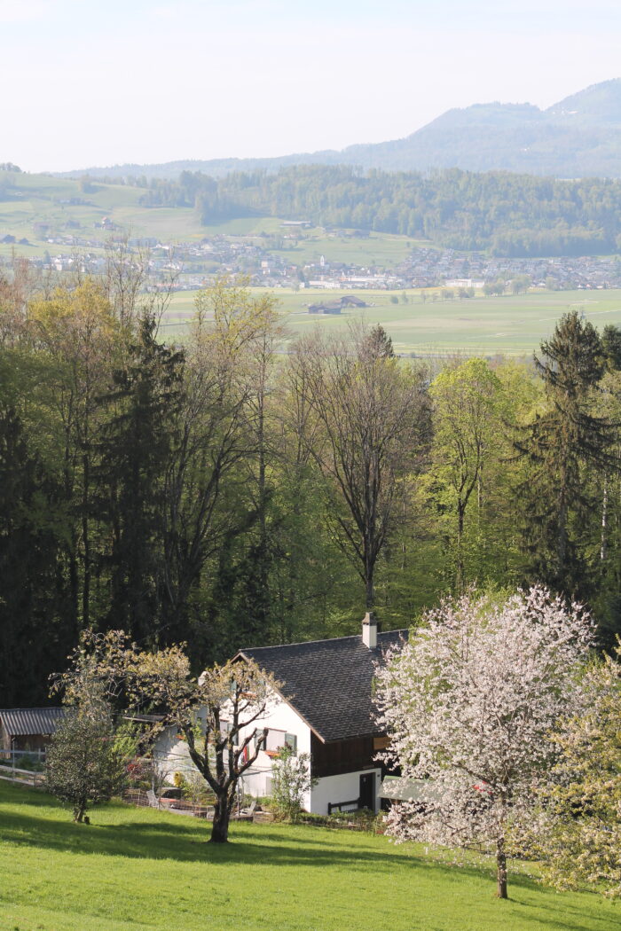 Kloster Nigredo - Meditationszentrum in Reichenburg in der Schweiz