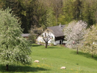 Kloster Nigredo - Meditationszentrum in Reichenburg in der Schweiz