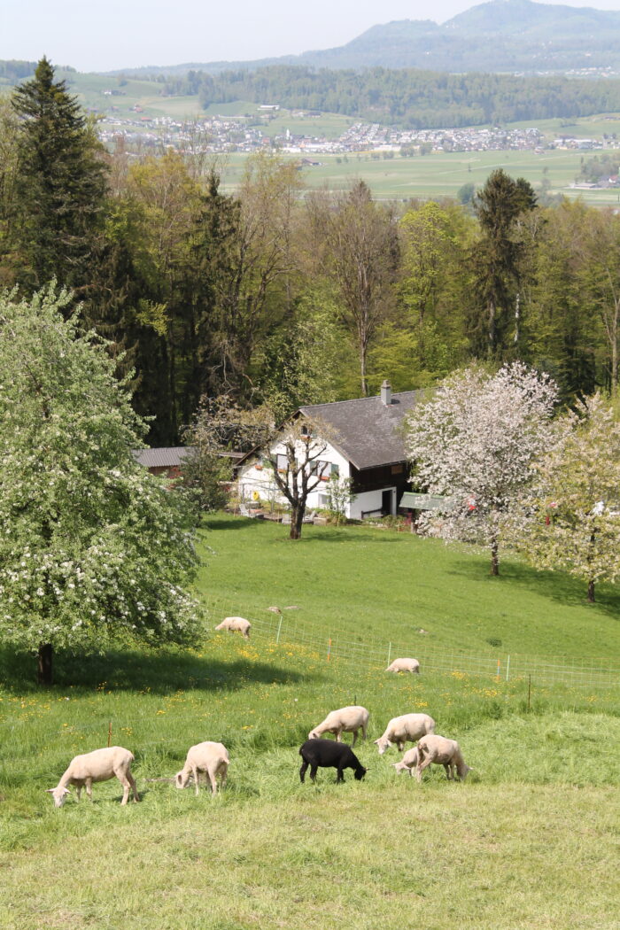 Kloster Nigredo - Meditationszentrum in Reichenburg in der Schweiz