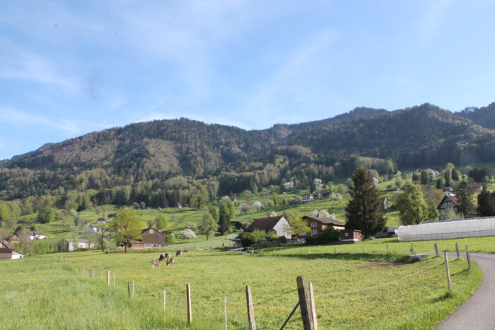 Kloster Nigredo - Meditationszentrum in der Schweiz