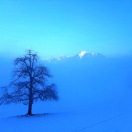 Winter Meditation im Meditationszentrum Kloster Nigredo mit Meister Abt Reding