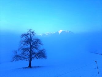 Winter Meditation im Meditationszentrum Kloster Nigredo mit Meister Abt Reding