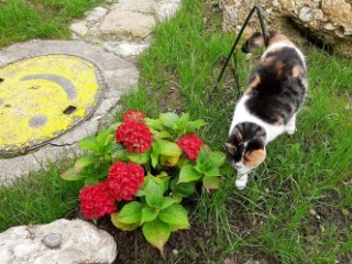 Kloster Nigredo ein Ort f&uuml;r Meditation, Retreat und Auszeit