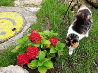 VaKi Meditation - MuKi Meditation