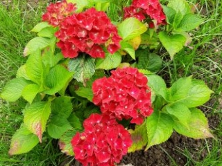 Kloster Nigredo ein Ort f&uuml;r Meditation, Retreat und Auszeit