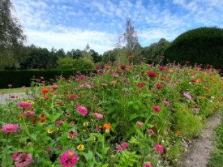 Meditation Basel Friedhof am Hörnli mit Meister