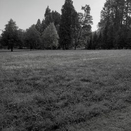 Meditation St. Gallen im Friedhof Feldli mit Meister Marcel Reding