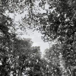 Meditation St. Gallen im Friedhof Feldli mit Meister Marcel Reding