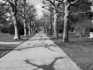 Meditation Bern im Bremgartenfriedhof mit Meister Marcel Reding