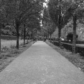 Meditation Chur im Friedhof Totengut mit Meister Marcel Reding