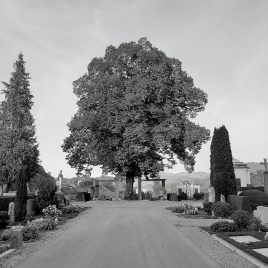 Meditation Luzern im Friedhof Friedental mit Meister Marcel Reding