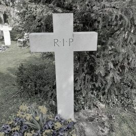 Meditation Bern im Bremgartenfriedhof mit Meister Marcel Reding