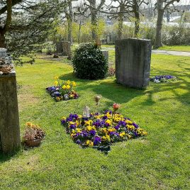 Meditation Bern im Bremgartenfriedhof mit Meister Marcel Reding