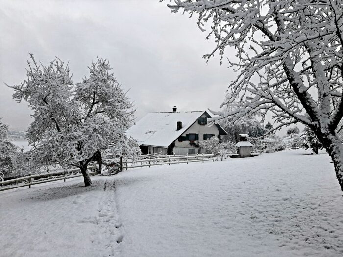 Winter Retreat Sesshin im Kloster Nigredo in der Schweiz