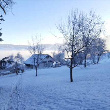 February Meditation Retreat at the Nigredo Monastery