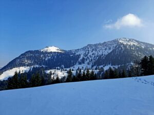 Meditation Schweiz