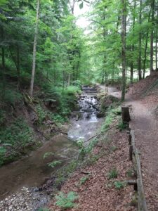 Zen Meditation und Wandern