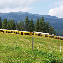 Funeral Service Swiss Alps Abbot Reding scatter Ashes Grindelwald Jungfraujoch