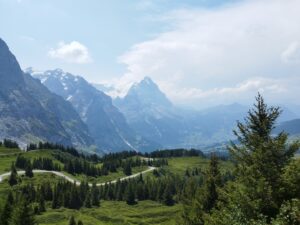 Meditation Weekend - Zen Retreat