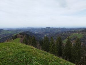 Steg im Tösstal