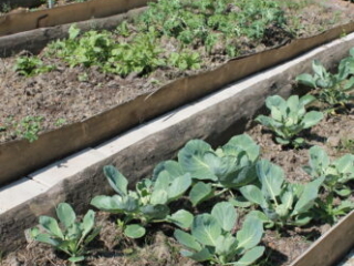 Gem&uuml;segarten im Kloster Nigredo