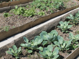 Tag der offenen T&uuml;r 2023 im Kloster Nigredo Reichenburg