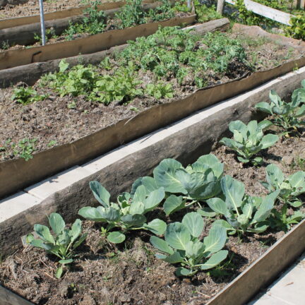 Tag der offenen T&uuml;r 2023 im Kloster Nigredo Reichenburg