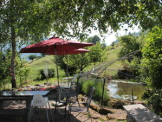 Teich - Kloster Nigredo