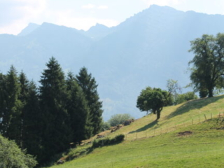 Tag der offenen T&uuml;r 2023 im Kloster Nigredo Reichenburg