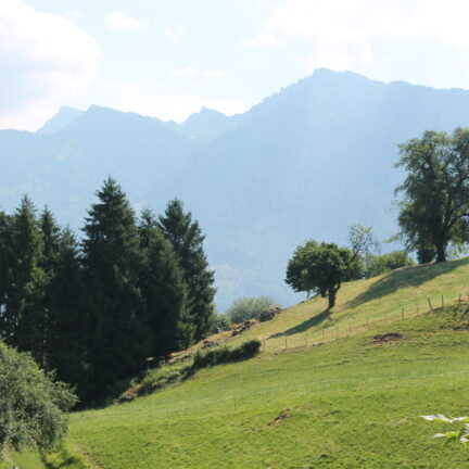 Tag der offenen T&uuml;r 2023 im Kloster Nigredo Reichenburg