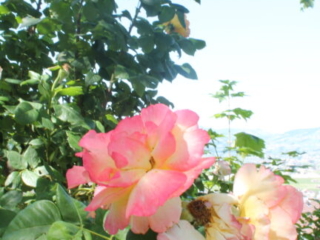 Tag der offenen T&uuml;r 2023 im Kloster Nigredo Reichenburg