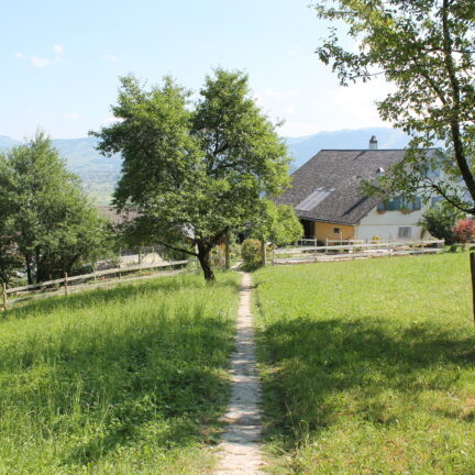 Tag der offenen T&uuml;r 2023 im Kloster Nigredo Reichenburg