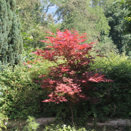 Tag der offenen T&uuml;r 2023 im Kloster Nigredo Reichenburg