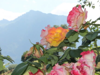 Tag der offenen T&uuml;r 2023 im Kloster Nigredo Reichenburg