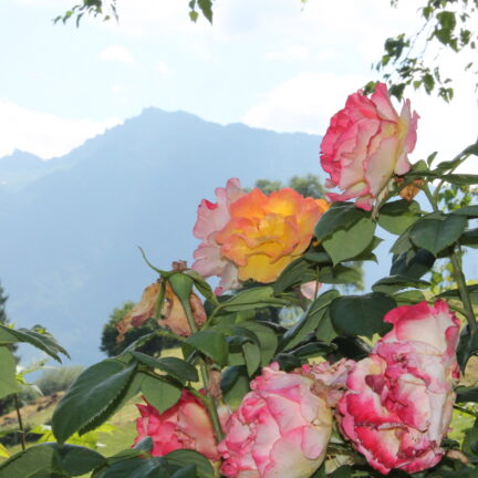 Tag der offenen T&uuml;r 2023 im Kloster Nigredo Reichenburg