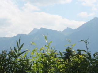 Tag der offenen T&uuml;r 2023 im Kloster Nigredo Reichenburg