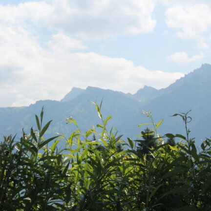Tag der offenen T&uuml;r 2023 im Kloster Nigredo Reichenburg