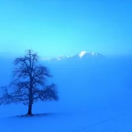 Winter Meditation im Meditationszentrum Kloster Nigredo mit Meister Abt Reding