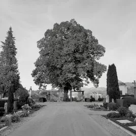 Meditation Luzern im Friedhof Friedental mit Meister Marcel Reding